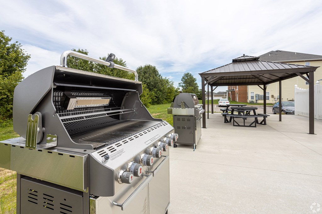 our outdoor grill and picnic area with a gazebo and picnic table