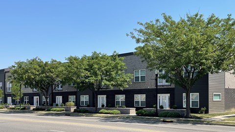 A row of modern houses with trees in front.