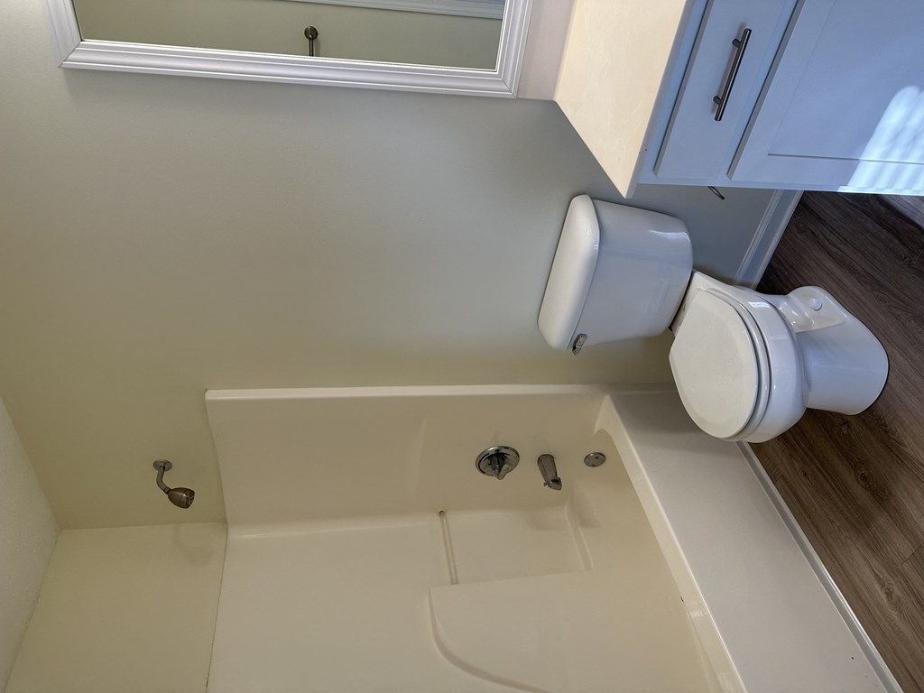 a bathroom with a sink and a toilet and a bath tub