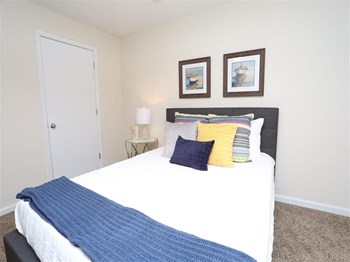 815 Erie Avenue 1-2 Beds Apartment for Rent - Photo Gallery 4