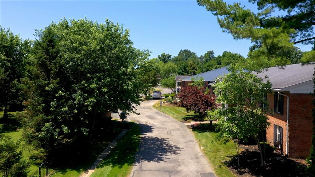 a street in a neighborhood with houses and trees