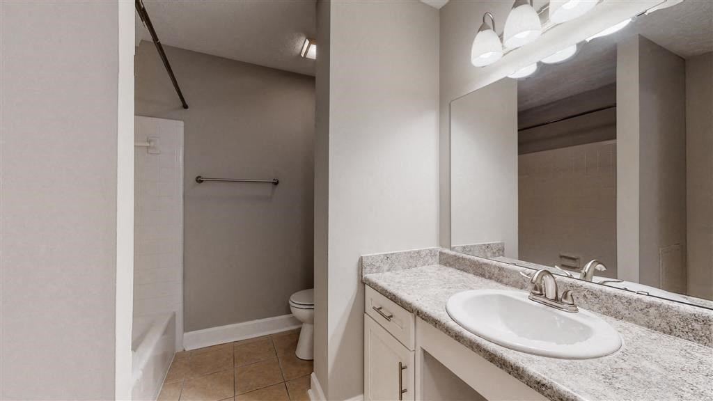 a bathroom with a sink and a toilet and a mirror