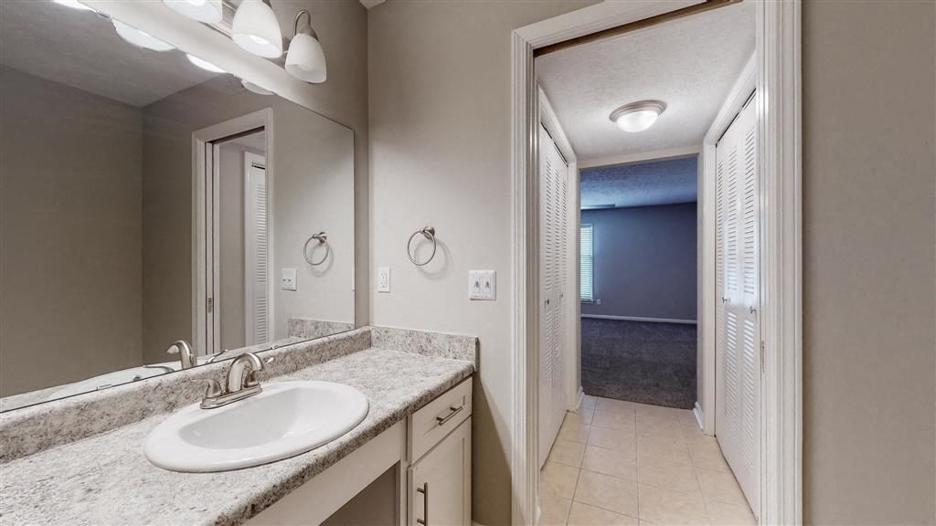 a bathroom with a sink and a large mirror