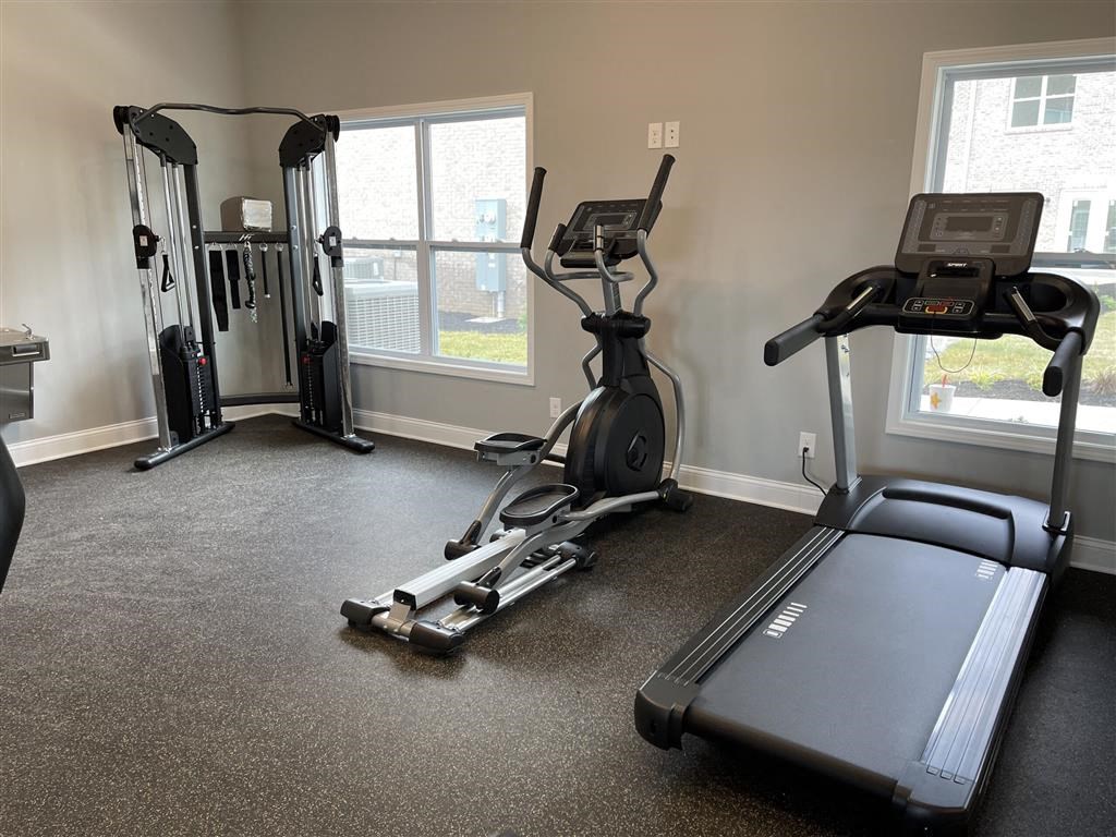 a gym with cardio equipment in a home gym