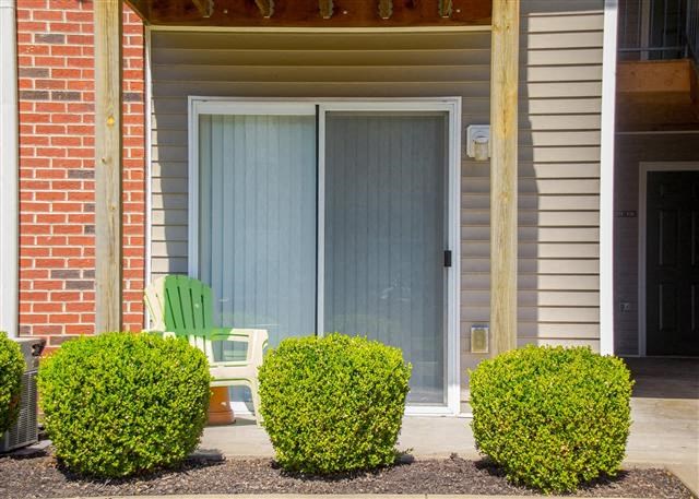 three bushes in front of a house with a green chair