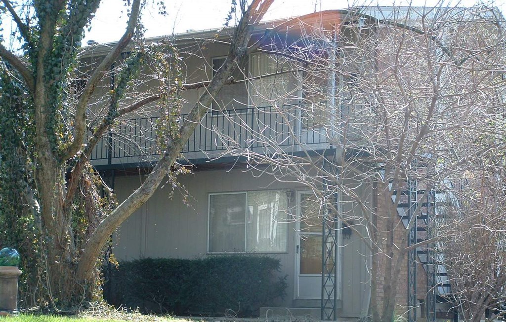 a house with a tree in front of it