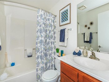 860 Deerfield Blvd 1-3 Beds Apartment for Rent - Photo Gallery 3