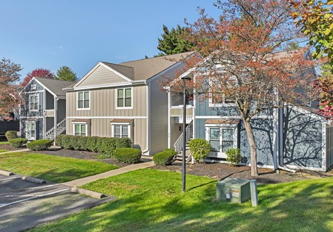 A tree with red leaves is in front of a grey house.