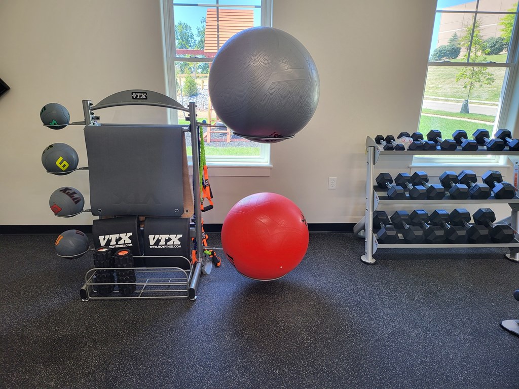 a gym ball and weights on the floor of a gym