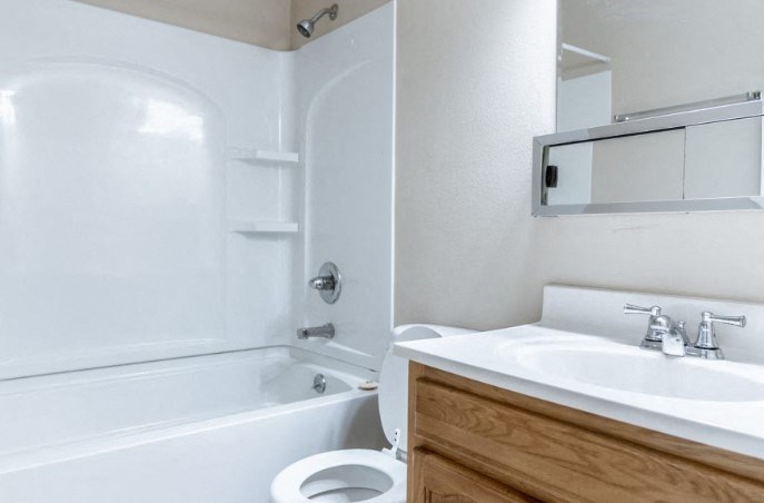 a bathroom with a sink and a toilet and a bath tub