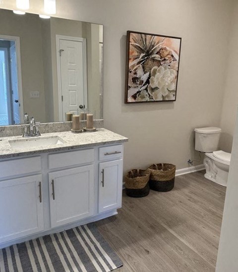 a bathroom with a sink and a toilet and a mirror