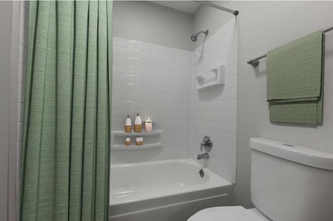 a bathroom with a shower curtain and a toilet and a sink