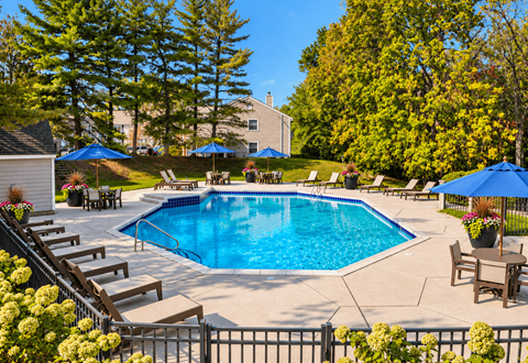 A pool surrounded by trees and chairs.
