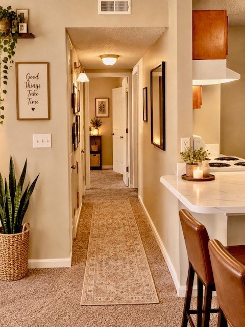 A hallway with a rug on the floor and a plant in a basket on the left.