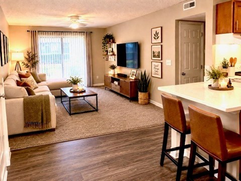A living room with a couch, a coffee table, and a television.