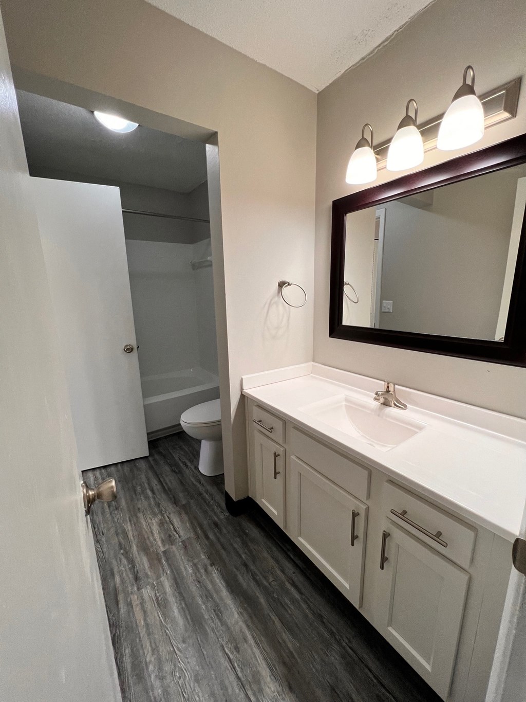 a bathroom with a sink and a mirror and a toilet
