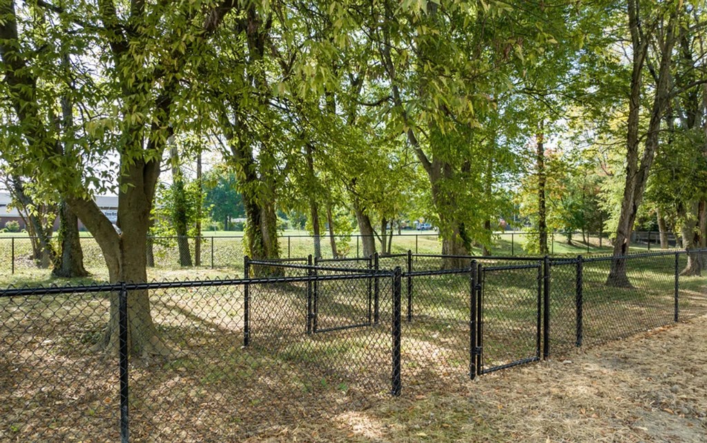 A black fence encloses a grassy area with trees.