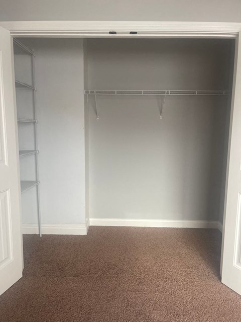 an empty closet with shelves and a carpet