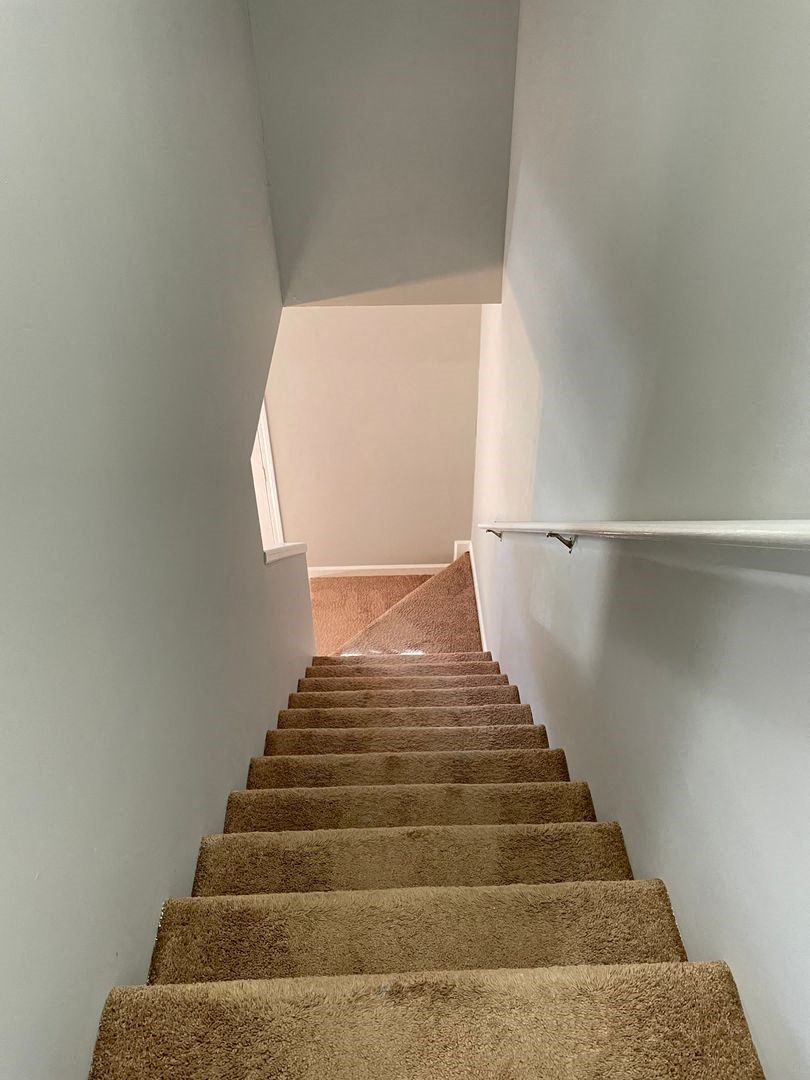a set of stairs with carpeting and a white wall