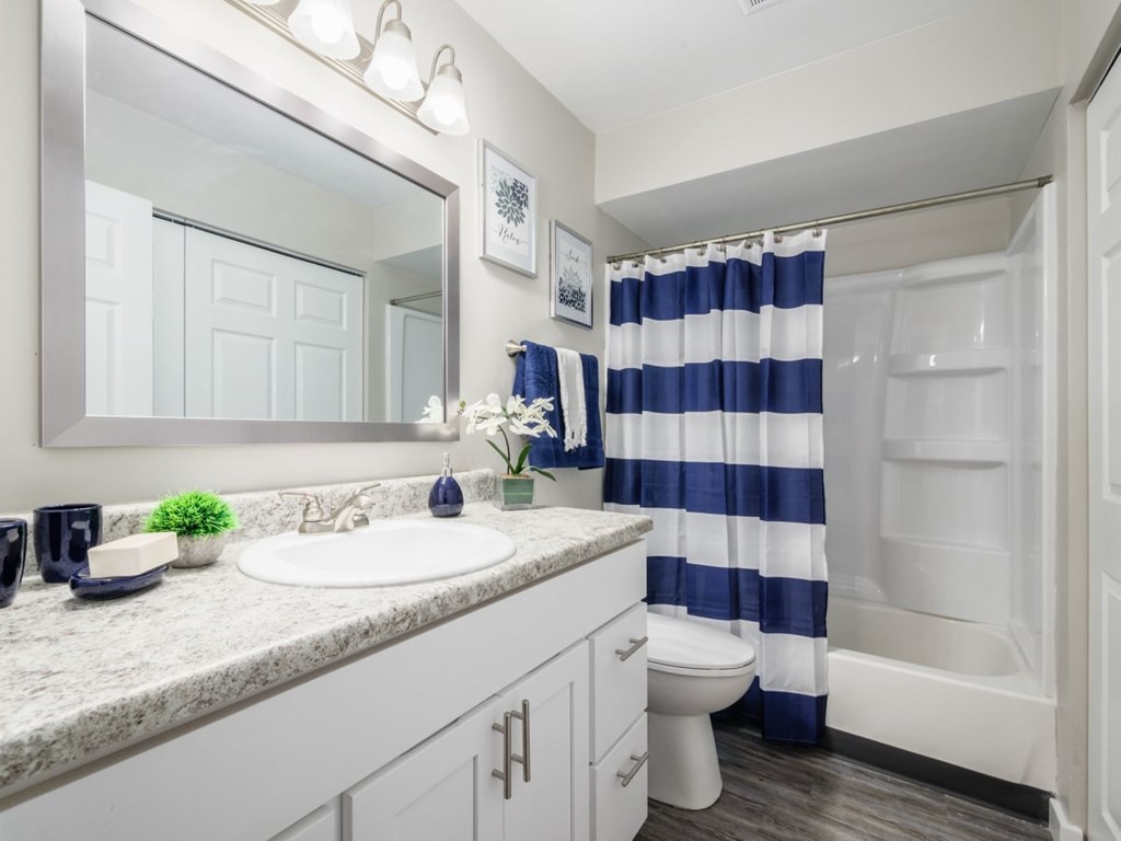 A bathroom with a sink, toilet, and shower curtain.