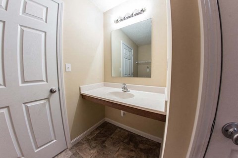 a bathroom with a sink and a mirror