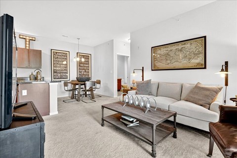 A living room with a grey couch, a coffee table, and a television.