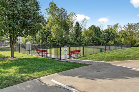 A park with a fence, benches, and trees.