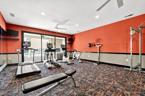 A gym with a variety of equipment including treadmills, weights, and a bench press.