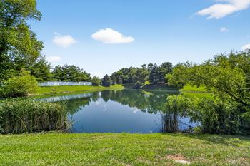 Lake View at Aventura at Richmond, St. Peters, MO, 63376