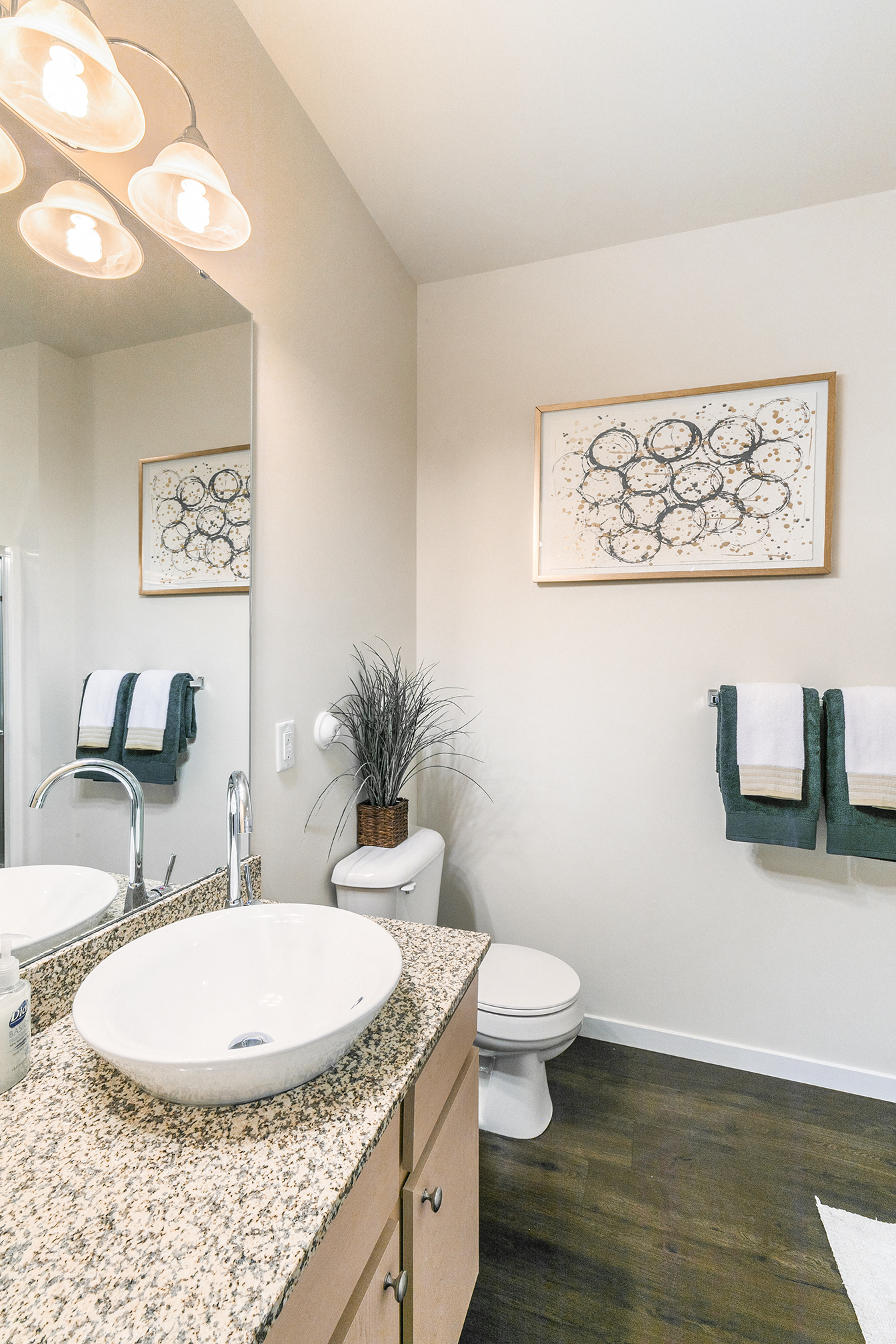 Designer Granite Countertops at Aventura at Forest Park, Missouri, 63110