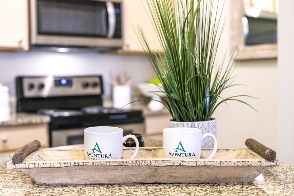 Stainless Steel Appliances at Aventura at Forest Park, St. Louis,Missouri