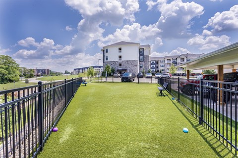commons apartment yard with grass at Aventura at Wild Horse Creek, Missouri, 63017