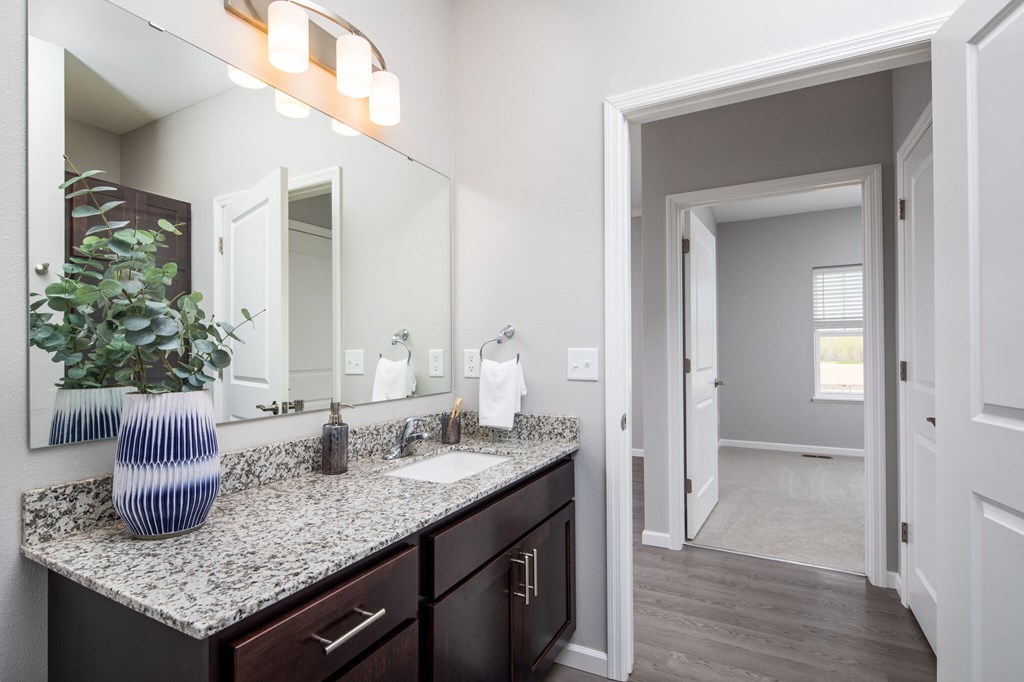 Morgan Bathroom, Edison at Spirit, Lakeville MN 55044