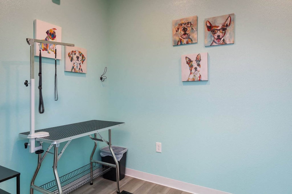 a grooming table in a dog grooming room with pictures of dogs on the wall at The Edison at Blue Springs, Blue Springs, MO