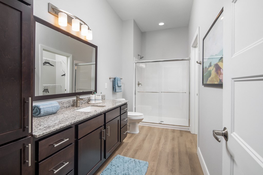 Tesla Master Bathroom at The Edison at Rice Creek, Shoreview, 55126