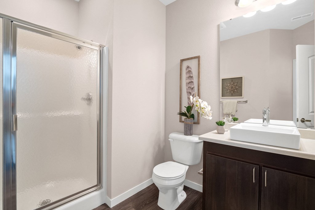 Model Master Bathroom at Aventura at Wentzville, Wentzville, 63385