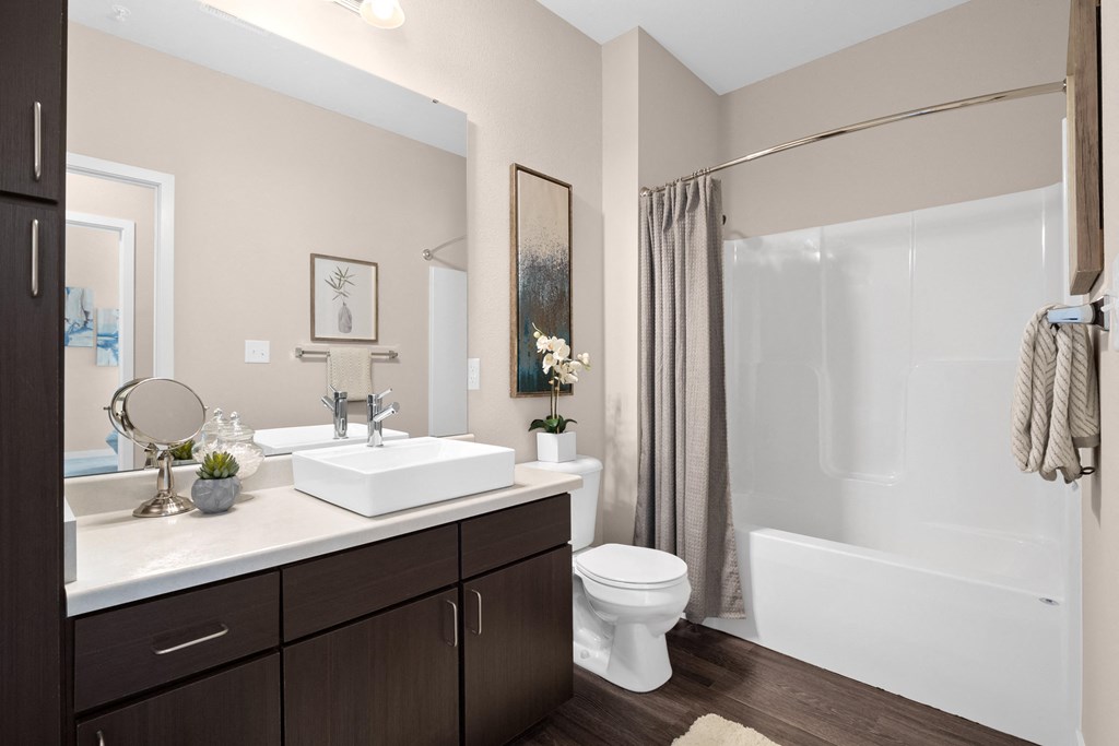 Bathroom at Aventura at Wentzville, Wentzville, 63385