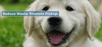 A close-up of a happy, smiling golden retriever dog at Aventura at Wentzville I & II Apartments, Wentzville