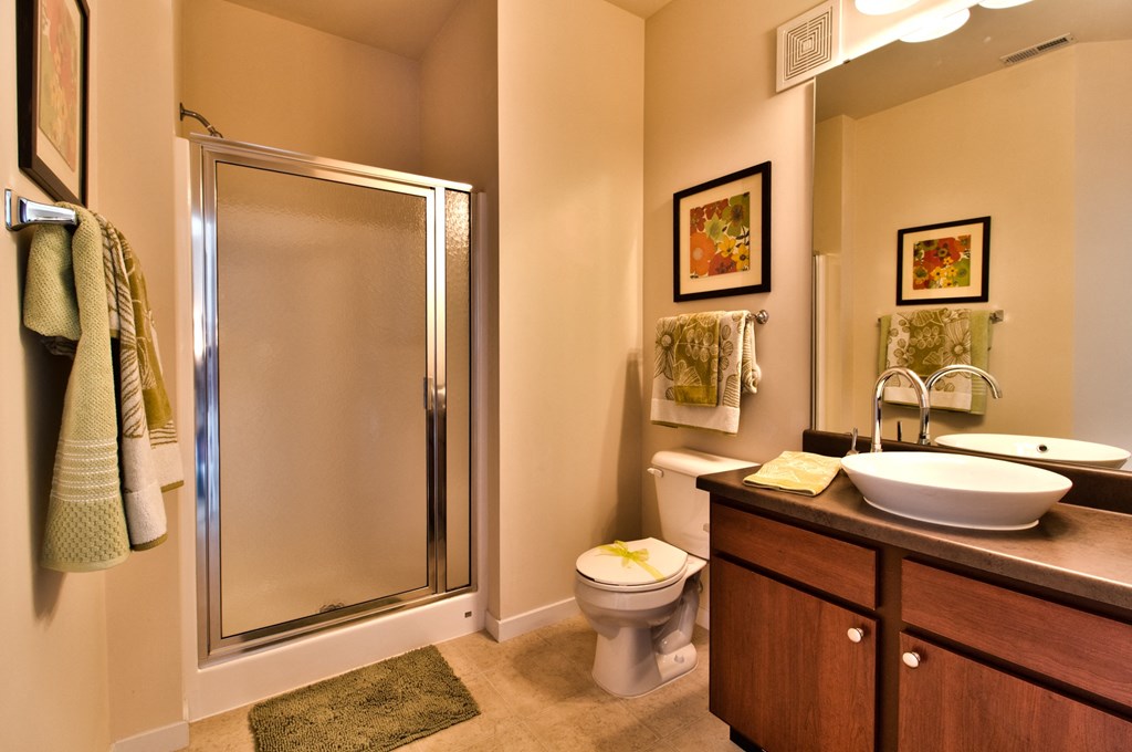 a bathroom with a shower and a sink and a toilet  at Aventura at Richmond, Missouri