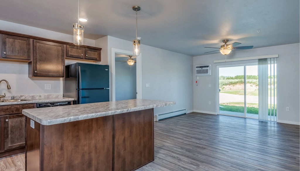 Open Concept Kitchen and Living