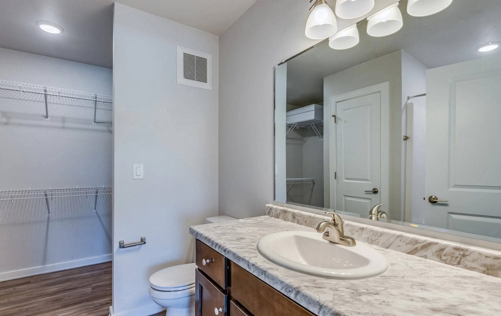 Bathroom and Walk -in Closet