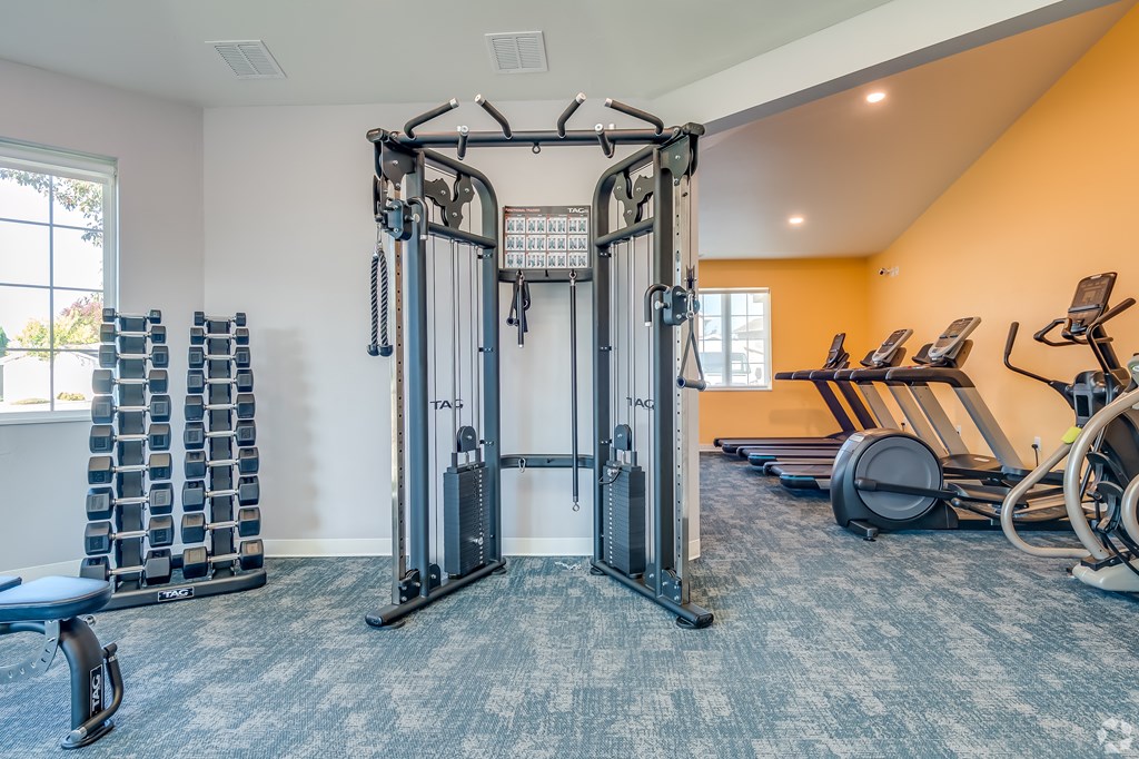 A gym with a large squat rack and a bench.