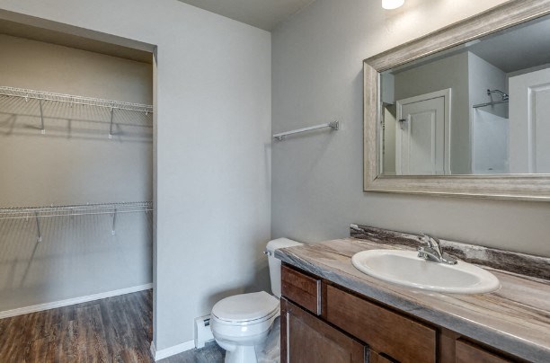 Bathroom with Walk-In Closet