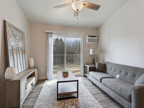 A living room with a grey couch and a coffee table.