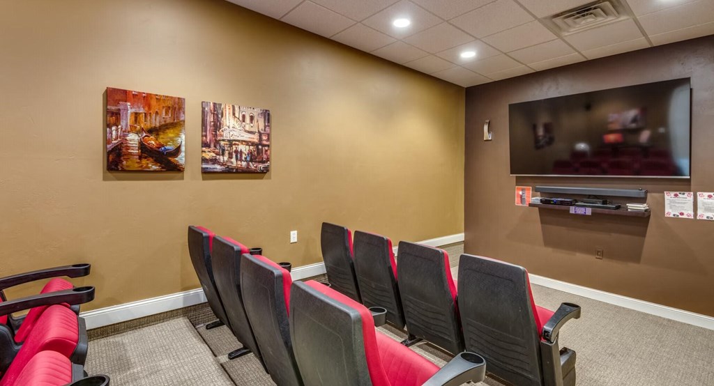 Community Theater Room