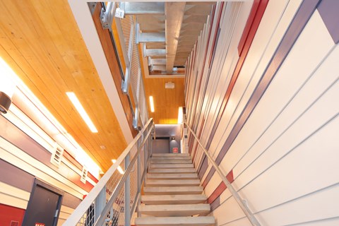 A staircase with a wooden ceiling and white walls.
