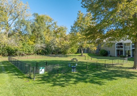 A sunny day at a park with a picnic table and a fence.