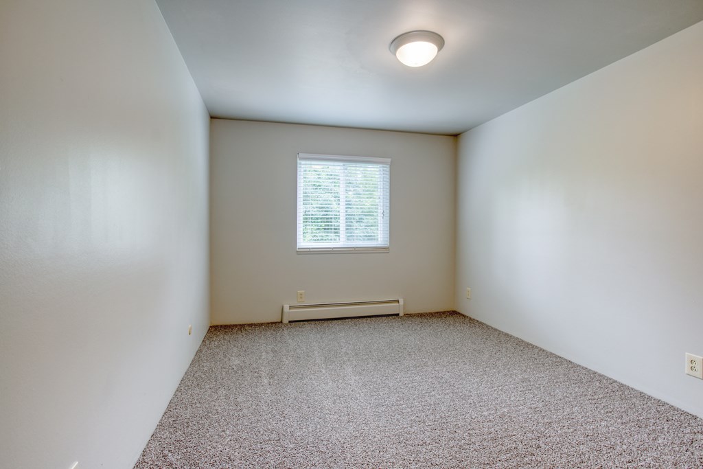 A room with a window and a carpeted floor.