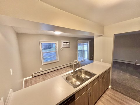 A kitchen with a sink and a window.