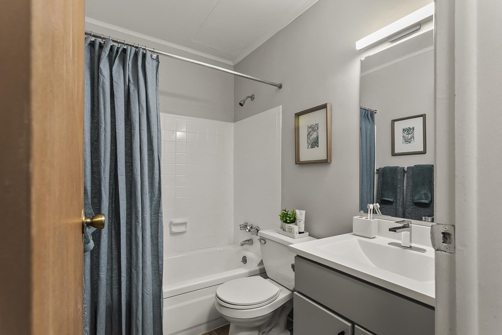 a bathroom with a shower and a toilet and a sink